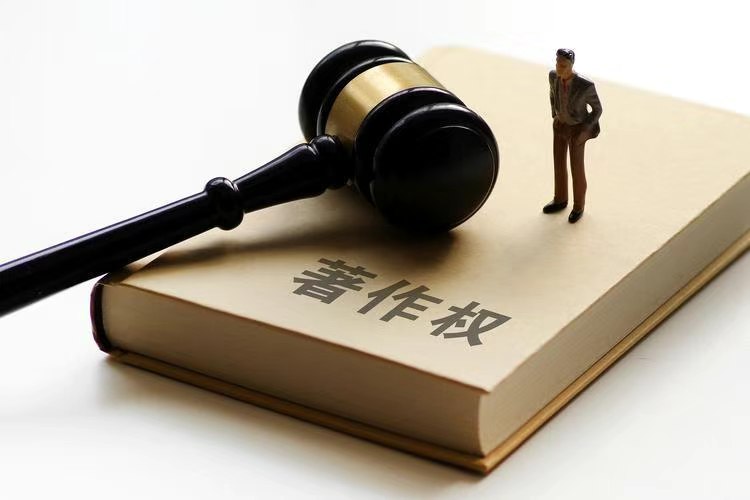 商业信用/调查报告